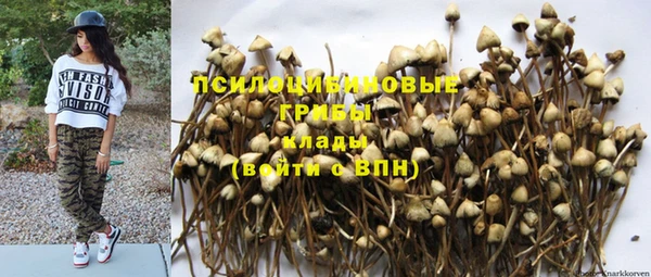 синтетический гашиш Пролетарск