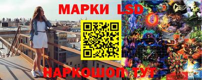 прущие грибы Абакан