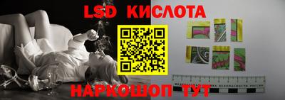 гидра Волгодонск