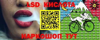 гидра Волгодонск