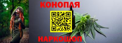 гидра Волгодонск