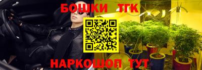 прущие грибы Абакан
