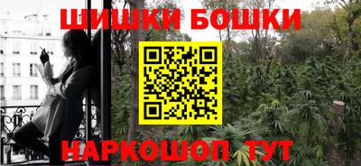 прущие грибы Абакан