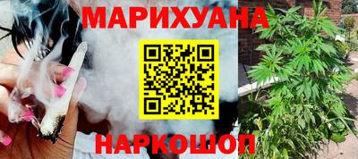 прущие грибы Абакан