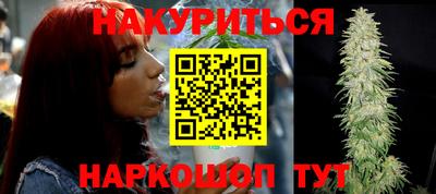 прущие грибы Абакан