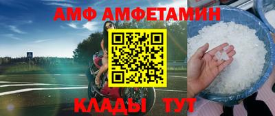 прущие грибы Абакан