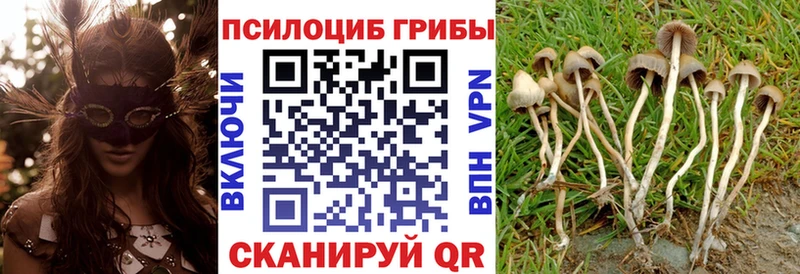 Галлюциногенные грибы мухоморы  закладка  Волжск 