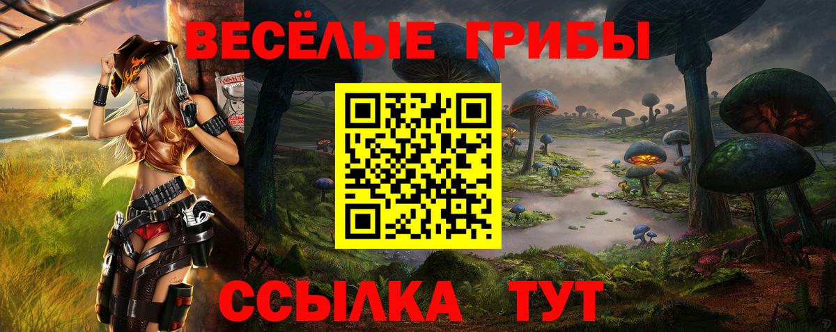Волжск  Псилоцибиновые грибы Psilocybe  Галлюциногенные грибы ЛСД  Вход с VPN 