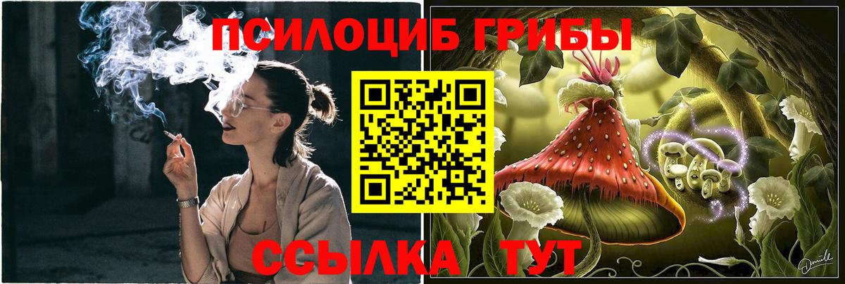 закладки  Волжск  Псилоцибиновые грибы прущие грибы 