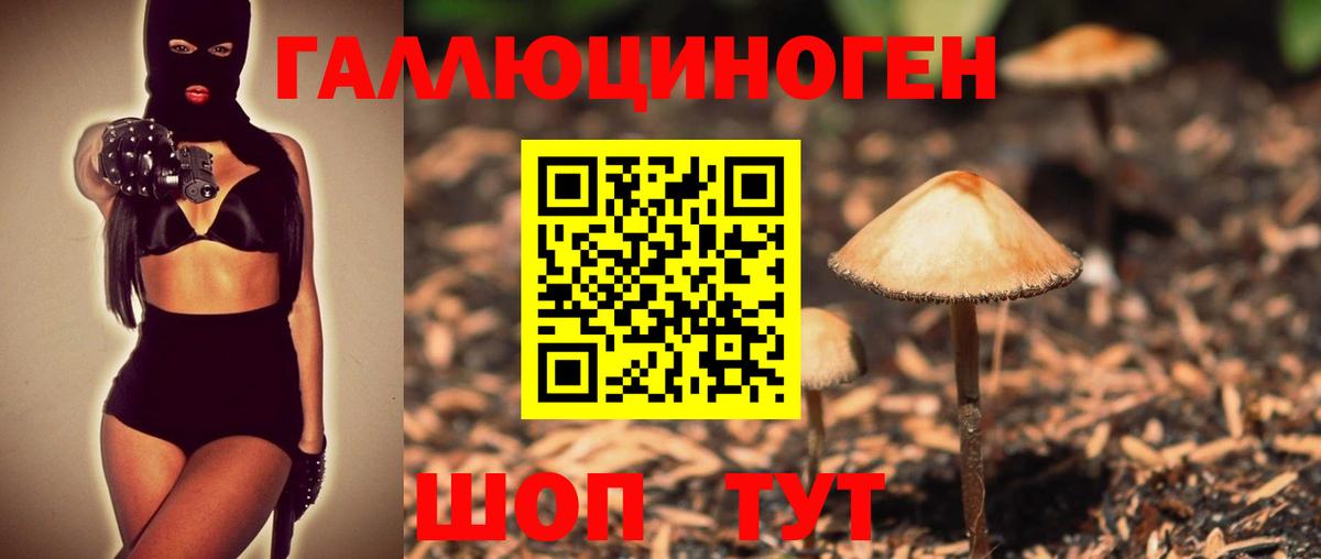 МЕФ  А ПВП  ГАШ  Кокаин  Мяу-Мяу  Волжск  Марихуана  Гарик  Вход с VPN 