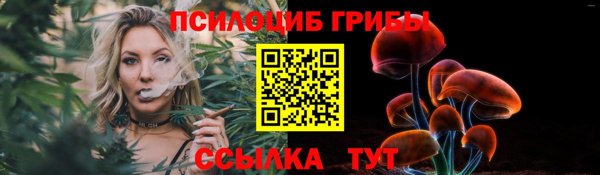 Волжск  Псилоцибиновые грибы Psilocybe  Вход с VPN 