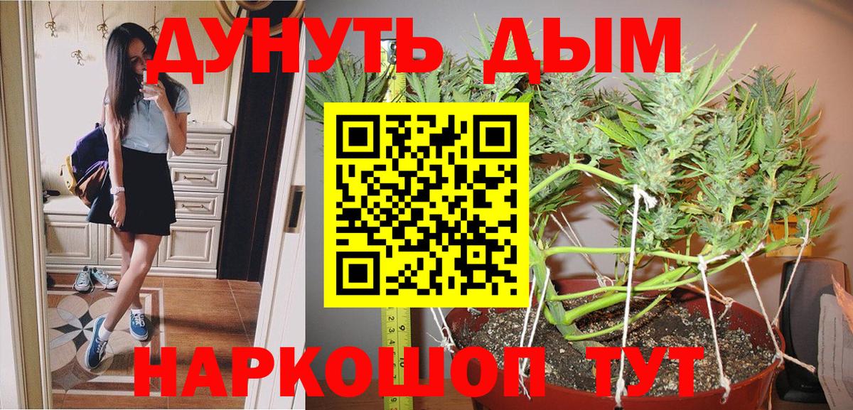 Конопля гибрид Волжск